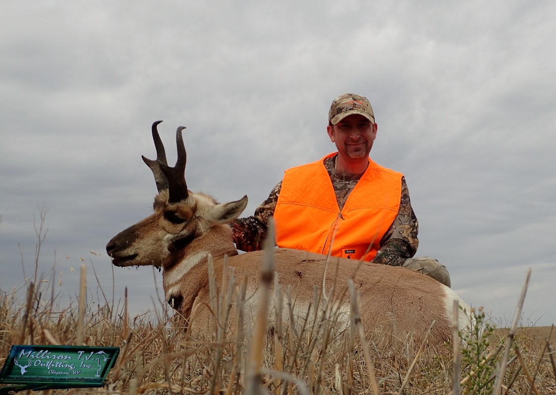 Pronghorn