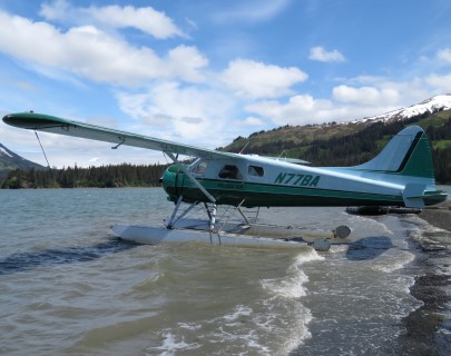 Milliron TJ Outfitting bear plane ride