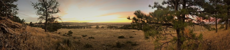 Millirong TJ outfitting big buck knob whitetail mule deer hunting at its finest