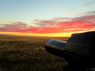 Milliron TJ outfitting Whitetail deer wyoming hunting