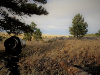 Wyoming Mule deer Hunting milliron TJ outfitting