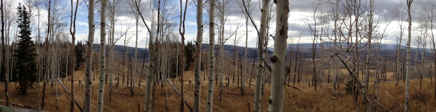 Milliron TJ Outfitting Colorado Wyoming WY CO ELK hunting Archery