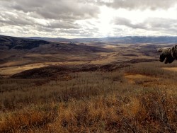 Milliron TJ Outfitting Colorado Wyoming WY CO ELK hunting Archery