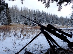 Milliron TJ Outfitting Colorado Wyoming WY CO ELK hunting Archery