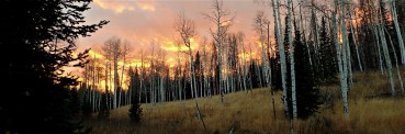 Milliron TJ Outfitting Colorado Wyoming WY CO ELK hunting Archery