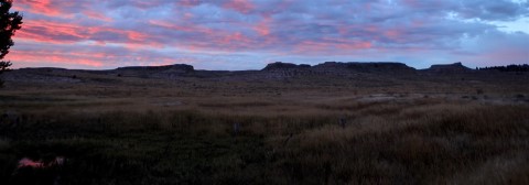 coyote Dog Hunting Wyoming coyote hunts